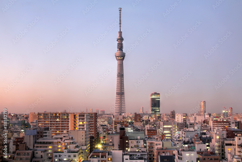 Naklejka premium Tokyo Sky Tree, Japonia