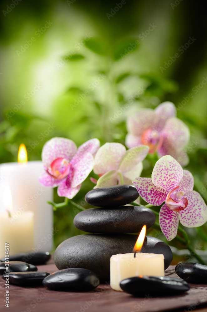 spa concept spa concept