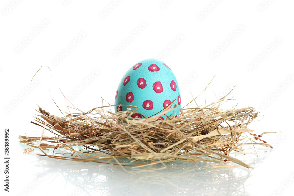 Blue Easter Egg in little bird nest isolated on white Blue Easter Egg in little bird nest isolated on white