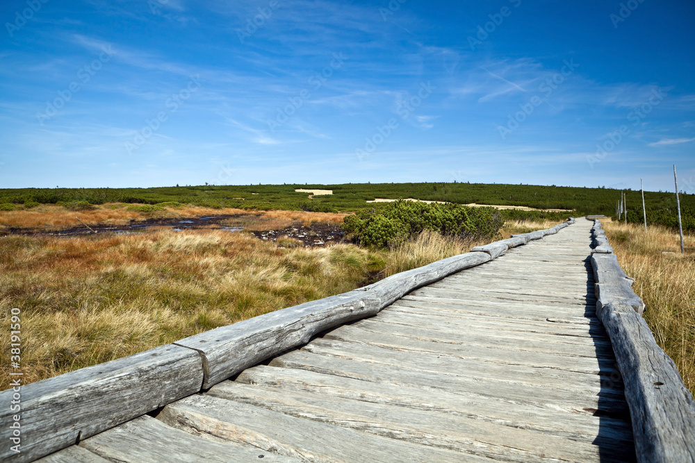 Hiking path in mountains