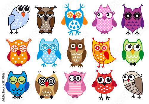 colorful vector owls