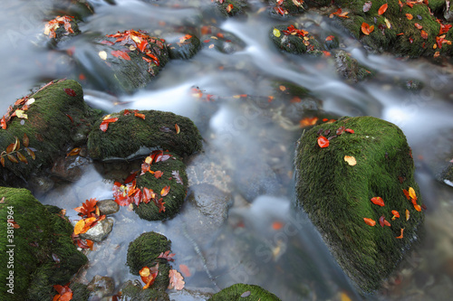 River stones, moss-grown and the river