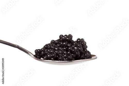 black caviar in spoon on white background photo