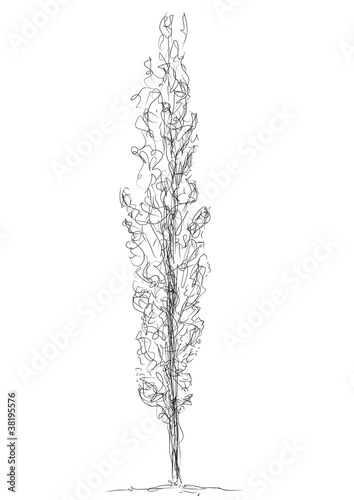 tree