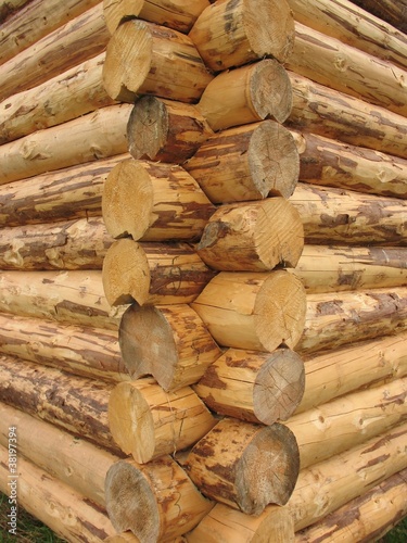 Corner bath with chopped peeled from logs photo