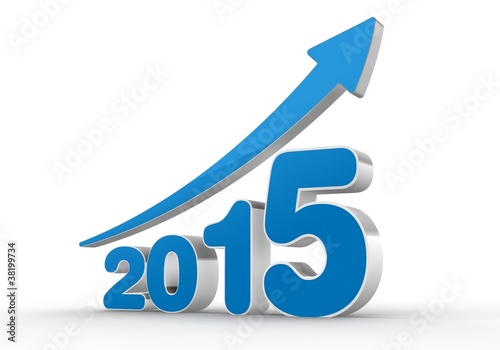 2015 jahr