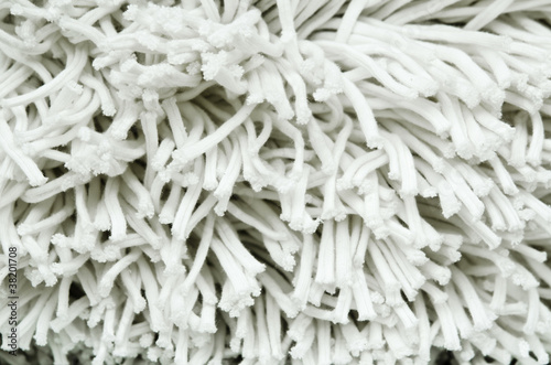 Canvas Print Close up of shag rug