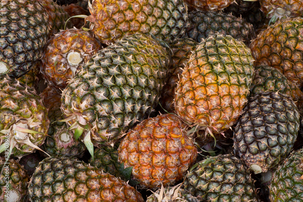 pineapple pineapple