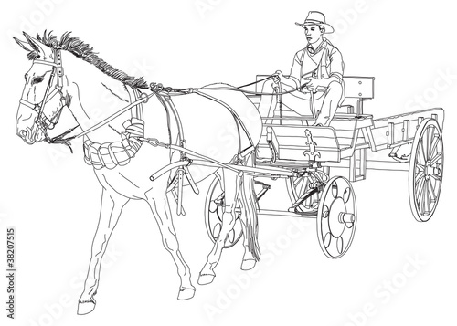 Cowboy rides in a wagon pulled by a horse. series of Wild West.