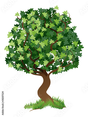 Tree illustration