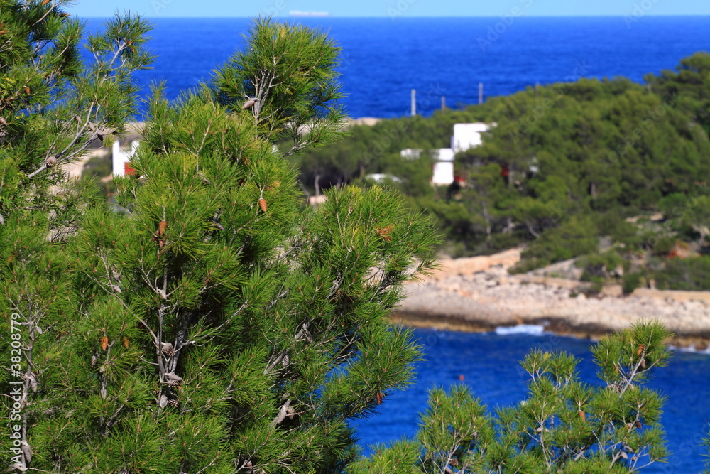 Beautiful small bay in Ibiza, Baleares Island, Spain.