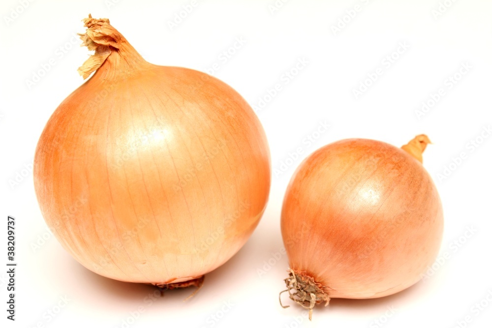 custom made wallpaper toronto digitaloignons