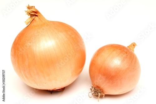 Wallpaper Mural oignons Torontodigital.ca