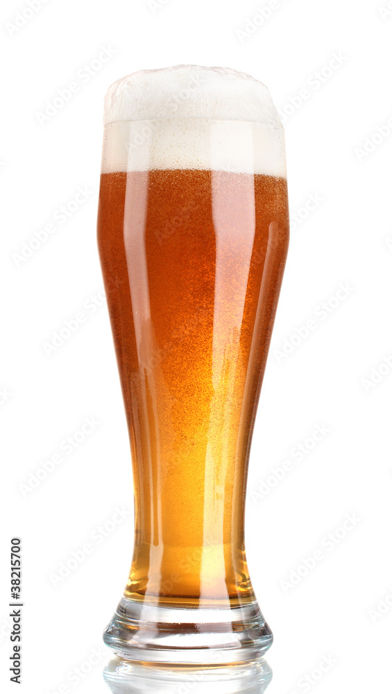 beer in a glass isolated on white beer in a glass isolated on white