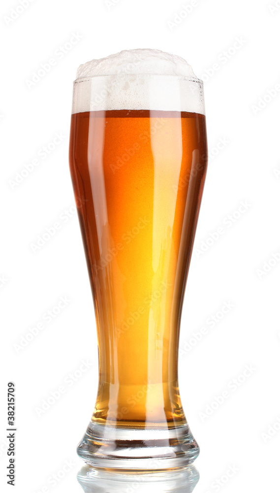 beer in a glass isolated on white beer in a glass isolated on white