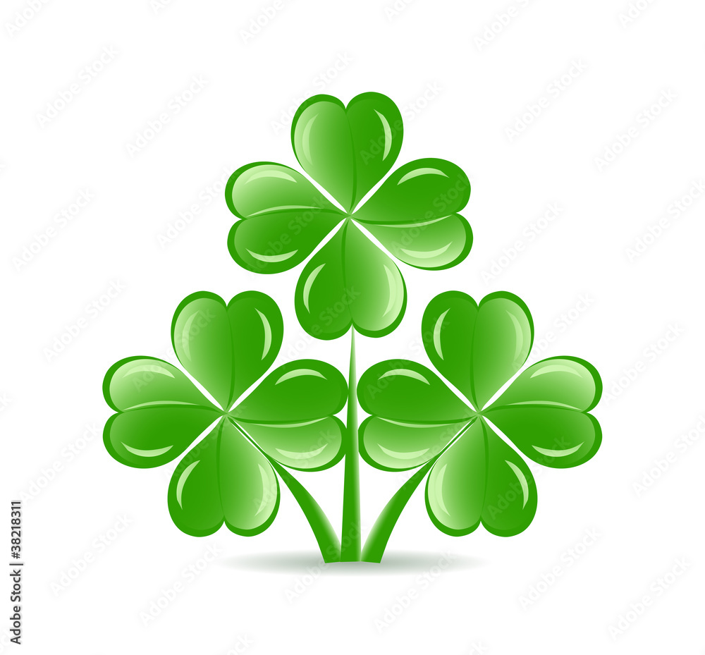 vector illustration of the three shamrocks with four lucky leav vector illustration of the three shamrocks with four lucky leav