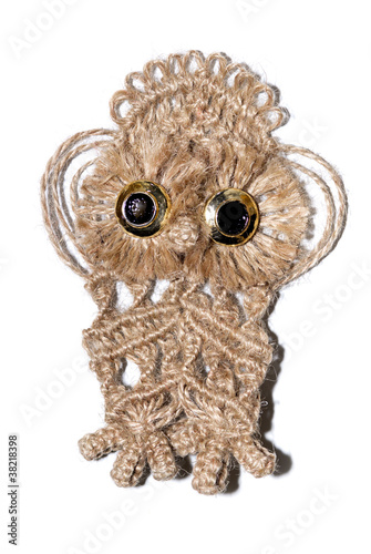 An owl