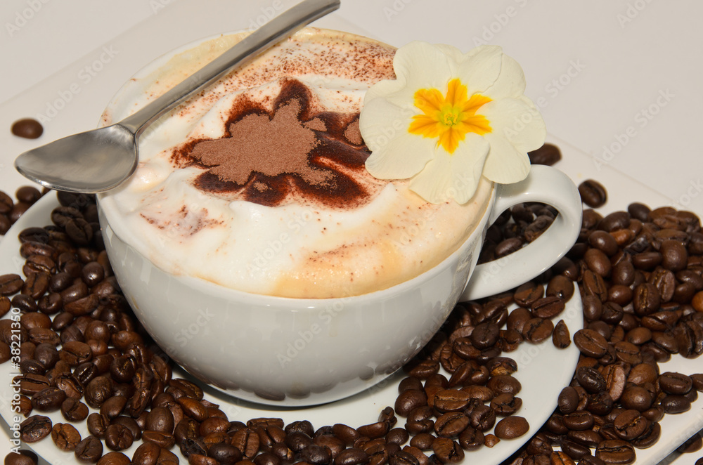 Cappuccino mit Schokoblume und Blüte Cappuccino mit Schokoblume und Blüte