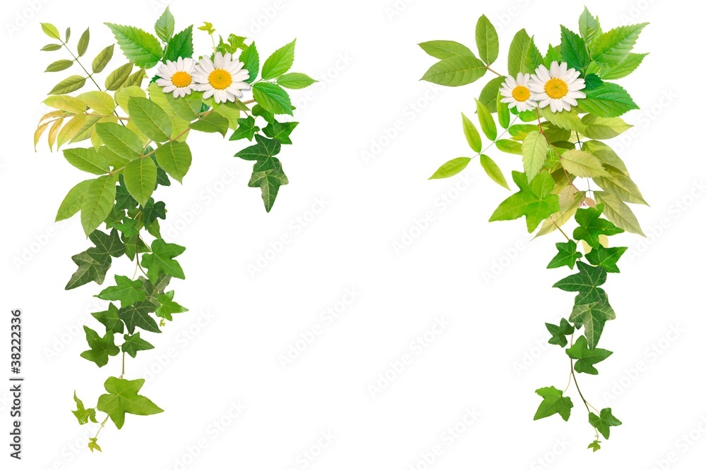 葉っぱ素材 Stock 写真 Adobe Stock