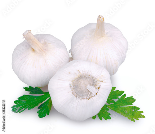 fresh garlic isolated
