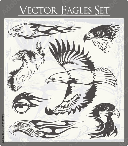 Flaming Eagle Vector Illustrations Set