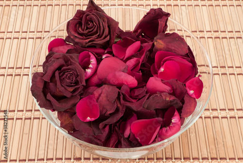 Dead roses in a bowl