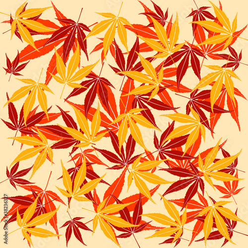 Autumn or fall maple leaves background.
