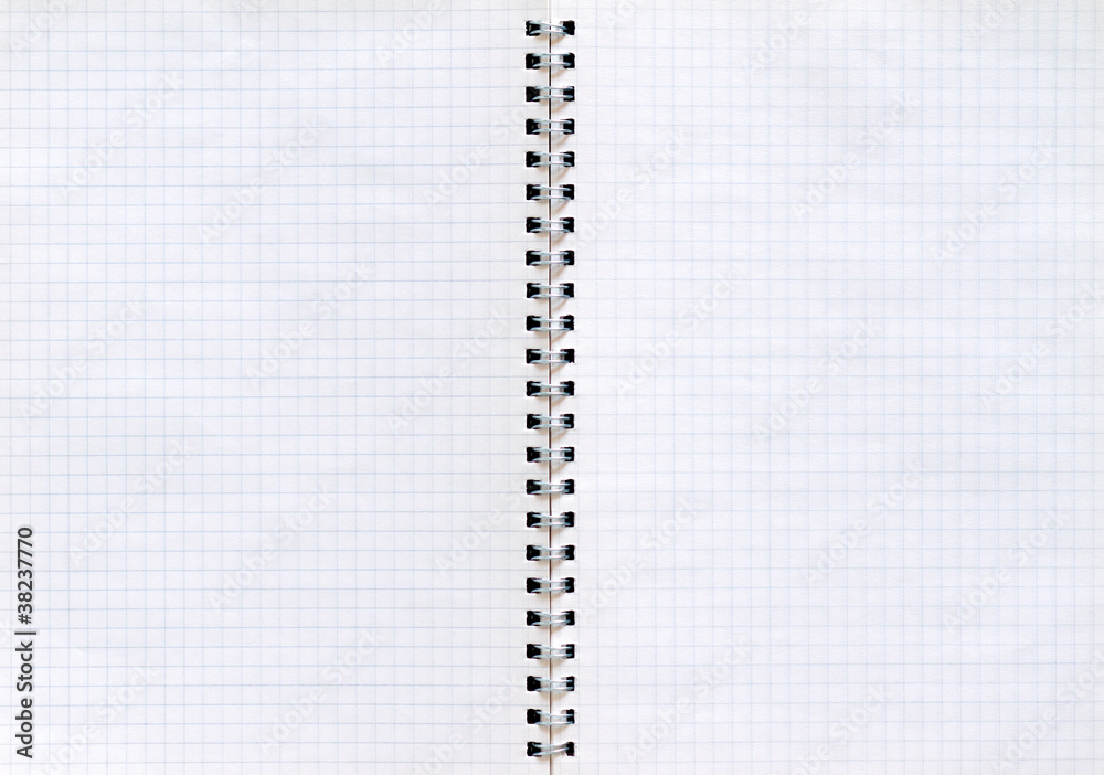 Notepad with a spiral binding and checkered sheets. Notepad with a spiral binding and checkered sheets.