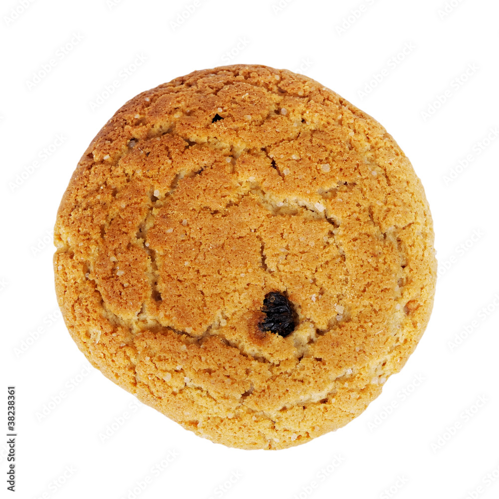 Close up delicious oatmeal cookie Close up delicious oatmeal cookie