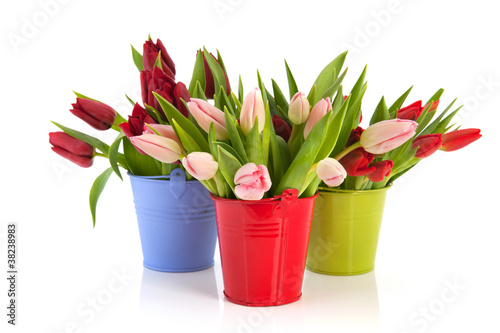 Wallpaper Mural Colorful tulips in buckets Torontodigital.ca