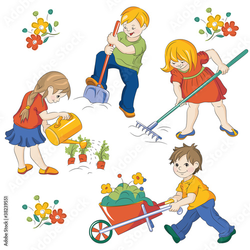 vegetable garden
