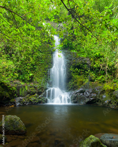 Beautiful Lush Waterfall in Hawaii