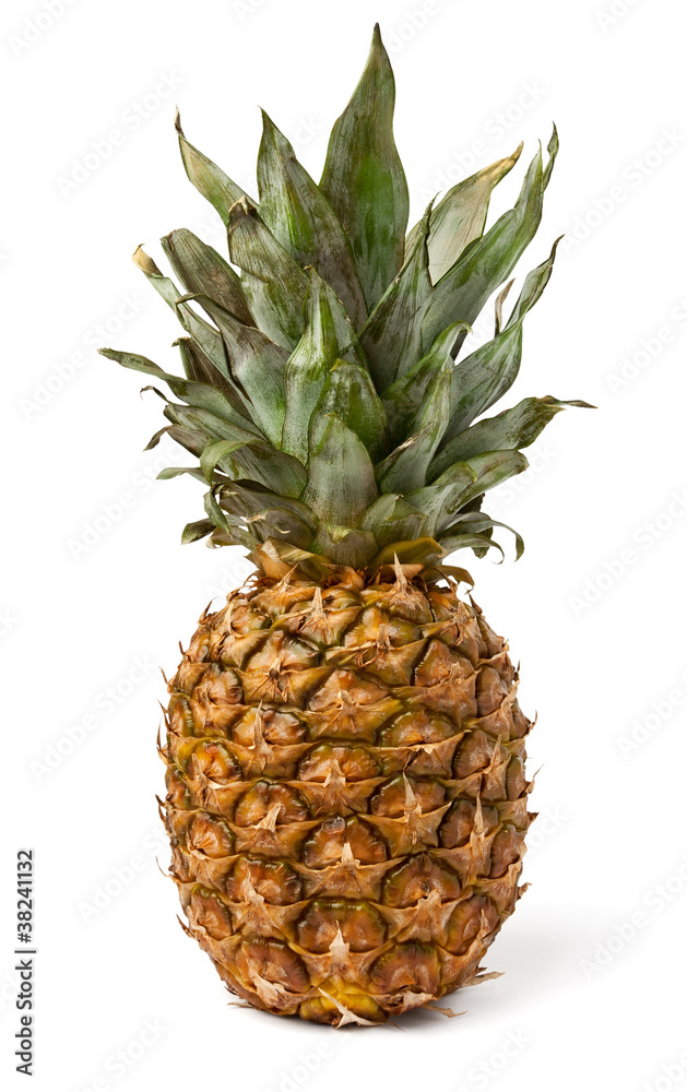 single pineapple single pineapple