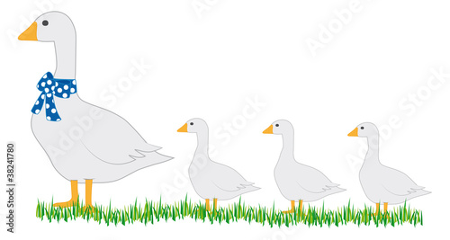 Famille oie
