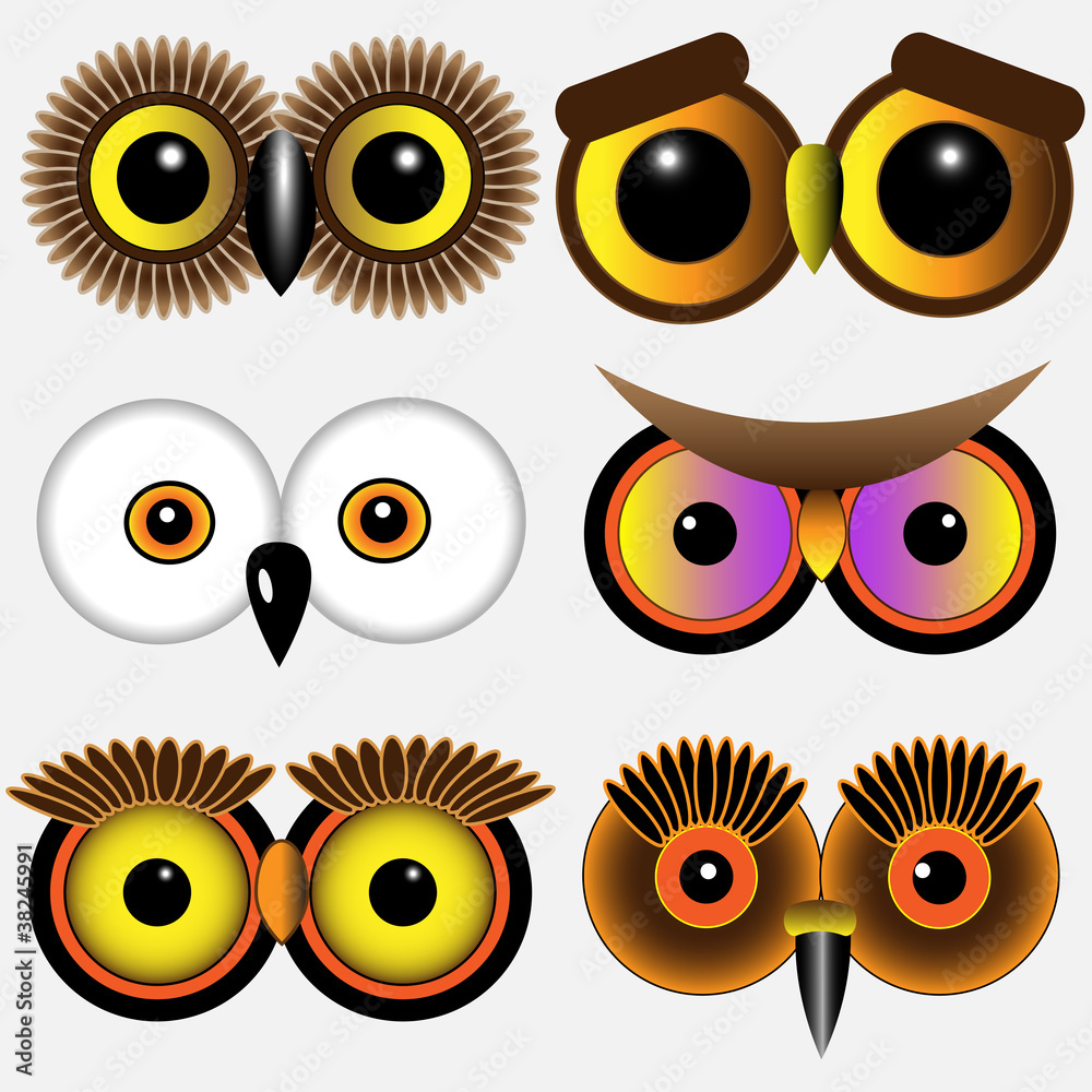 Fototapeta premium Eyes of owls