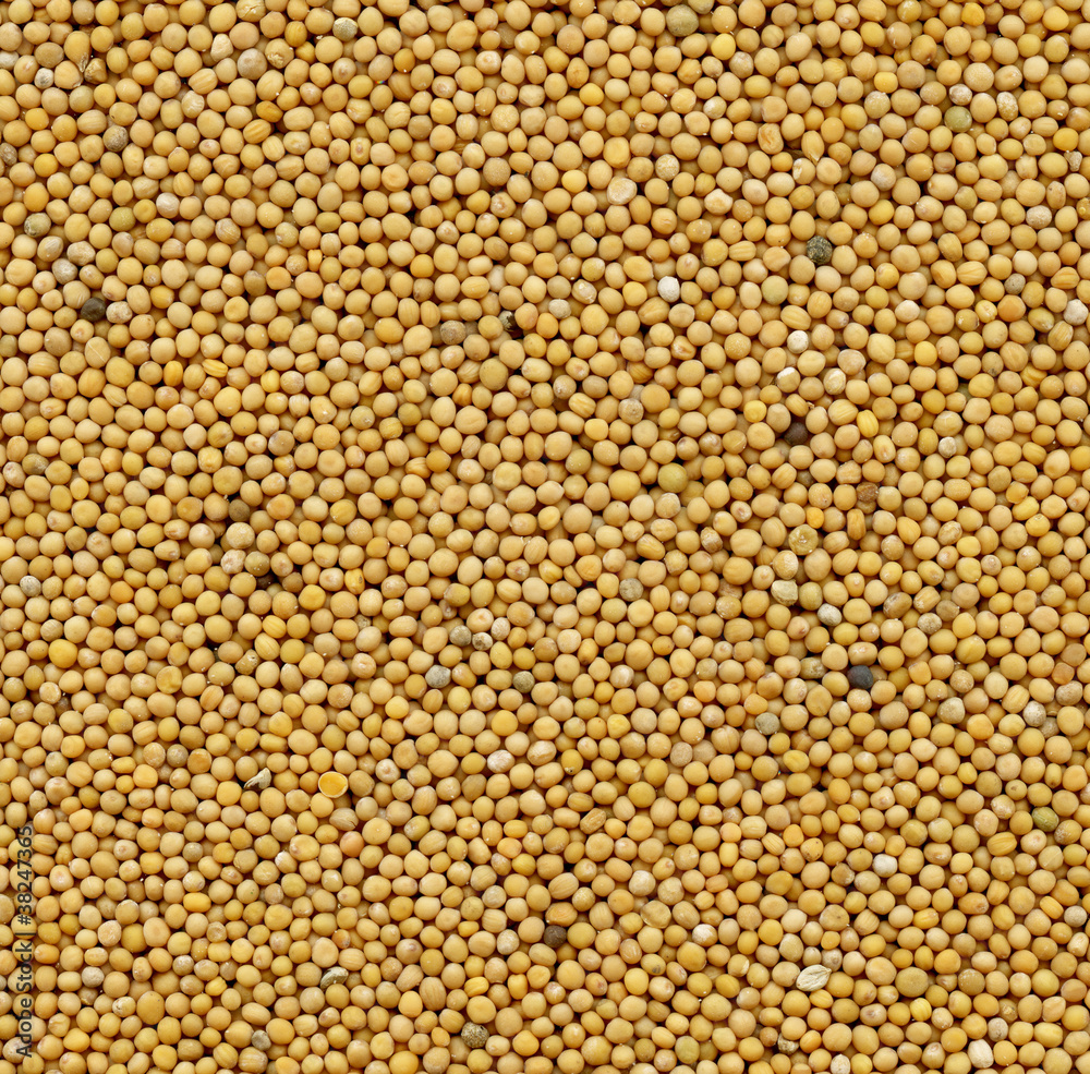 mustard seeds