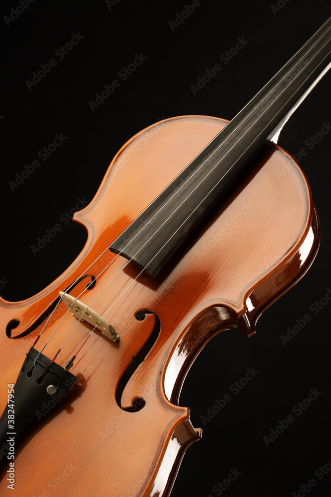 Fototapeta premium violin