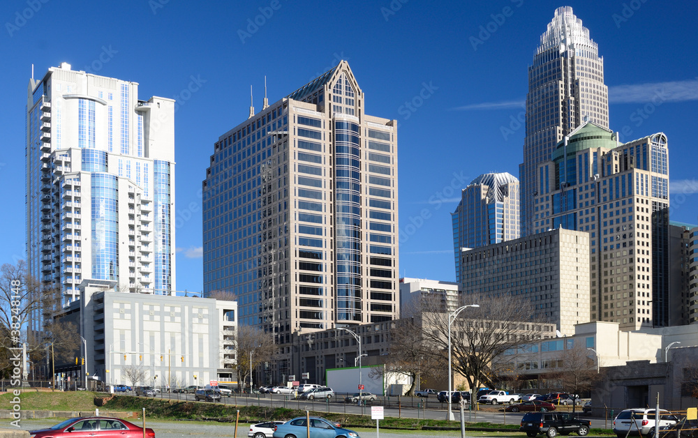 Naklejka premium Charlotte
