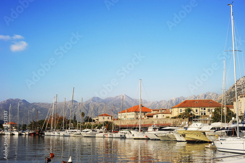 Kotor