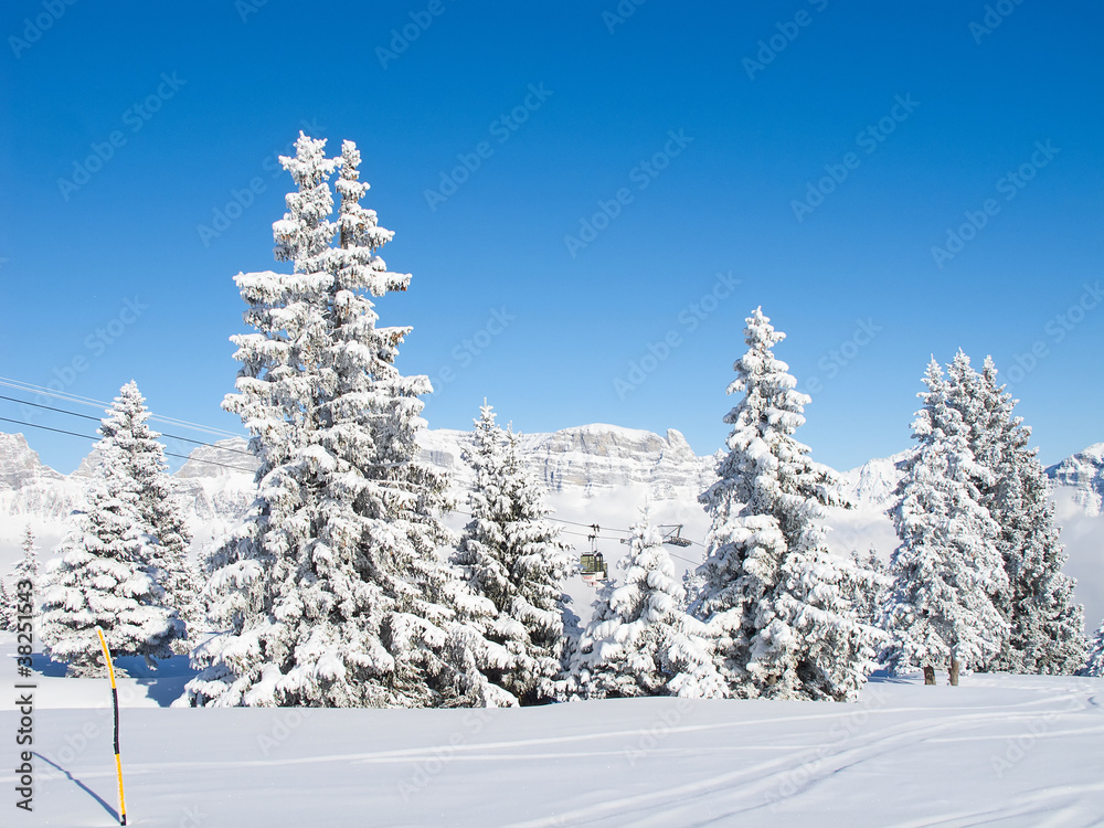 Fototapeta premium Winter in alps