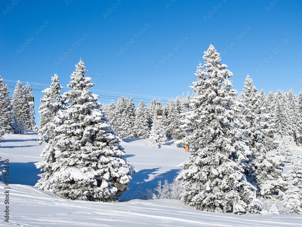 Fototapeta premium Winter in alps