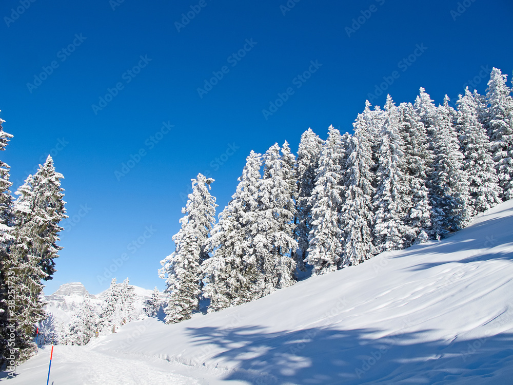 Obraz premium Winter in alps