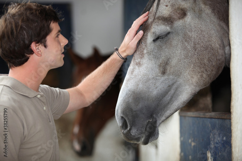 Quadro su tela A man with his horse