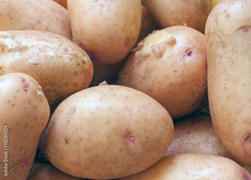 Close-up of fresh potato