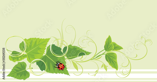 Decorative sprig with leaves, ladybird and bubbles