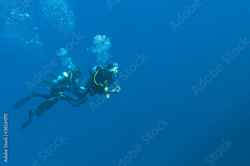 Obraz na płótnie Underwater w salonie
