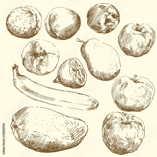 collection of fruits