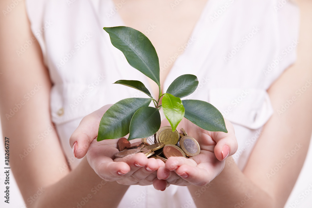 woman's hands holding plant sprouting from a handful of coins woman's hands holding plant sprouting from a handful of coins