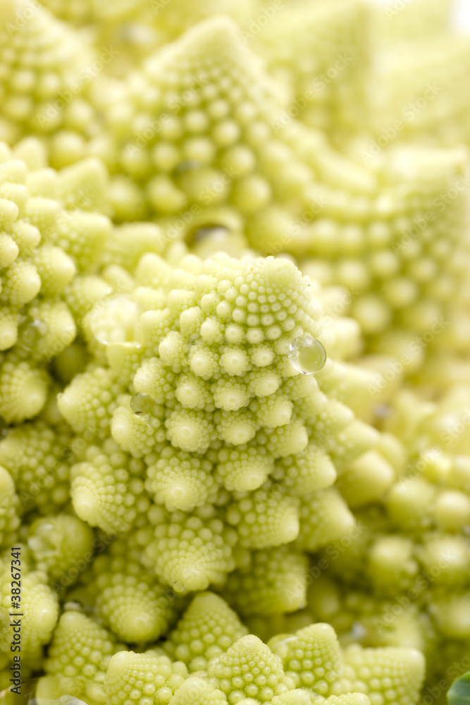 Romanesco Romanesco