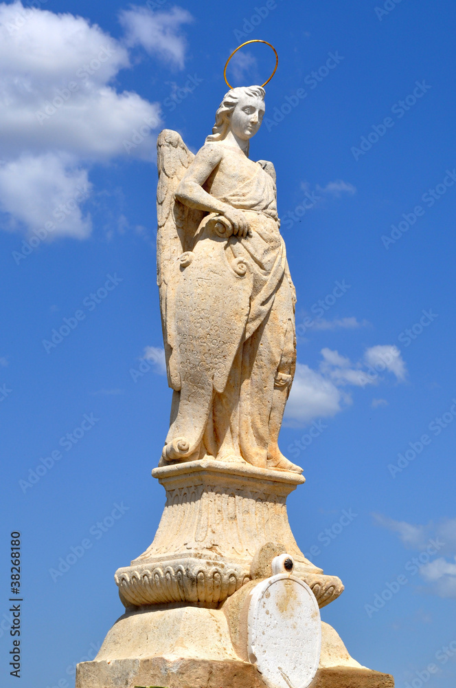 Obraz premium Angelo 2